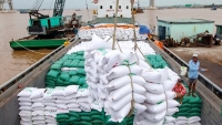 Xuất khẩu ngày 3-7/10: Giá gạo Việt Nam lấy lại ngôi đầu thế giới; xuất khẩu điều 'giảm tốc' vì xung đột Nga-Ukraine