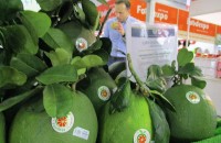 Xuất khẩu ngày 7-9/10: Bưởi da xanh sắp 'lên đường' sang Mỹ; guồng máy xuất khẩu của Việt Nam đang tăng tốc