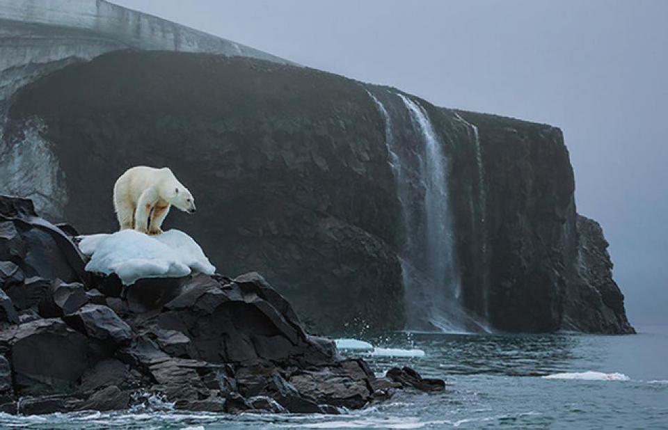 trai dat khong con nhieu thoi gian de tranh tham kich huy diet