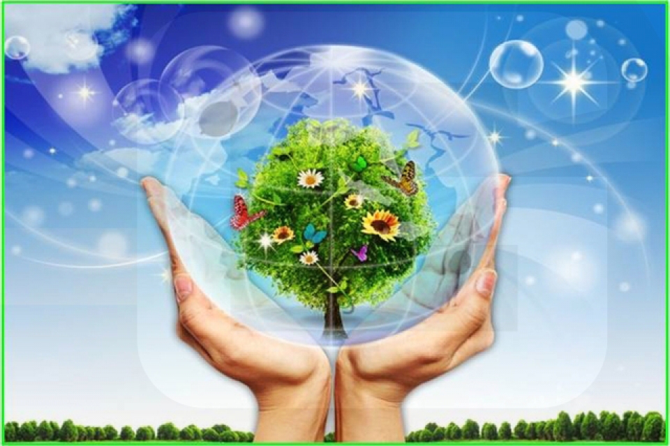 doanh nghiep van coi nhe phat trien ben vung