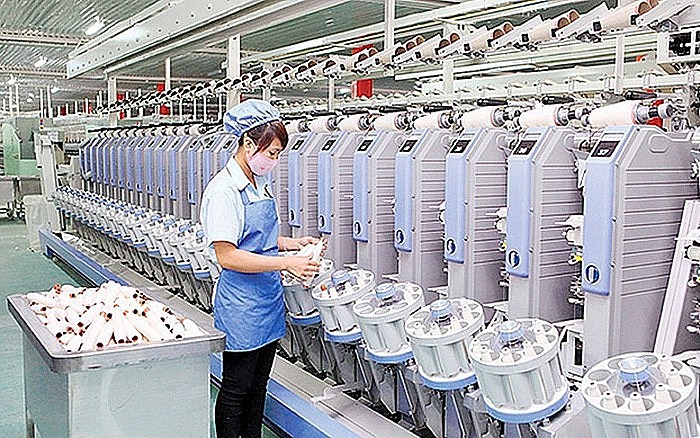 Xuất khẩu ngày 22-26/11: Kết quả tích cực từ EVFTA; cá tra vẫn gặp khó; giải 'bài toán' phòng vệ thương mại