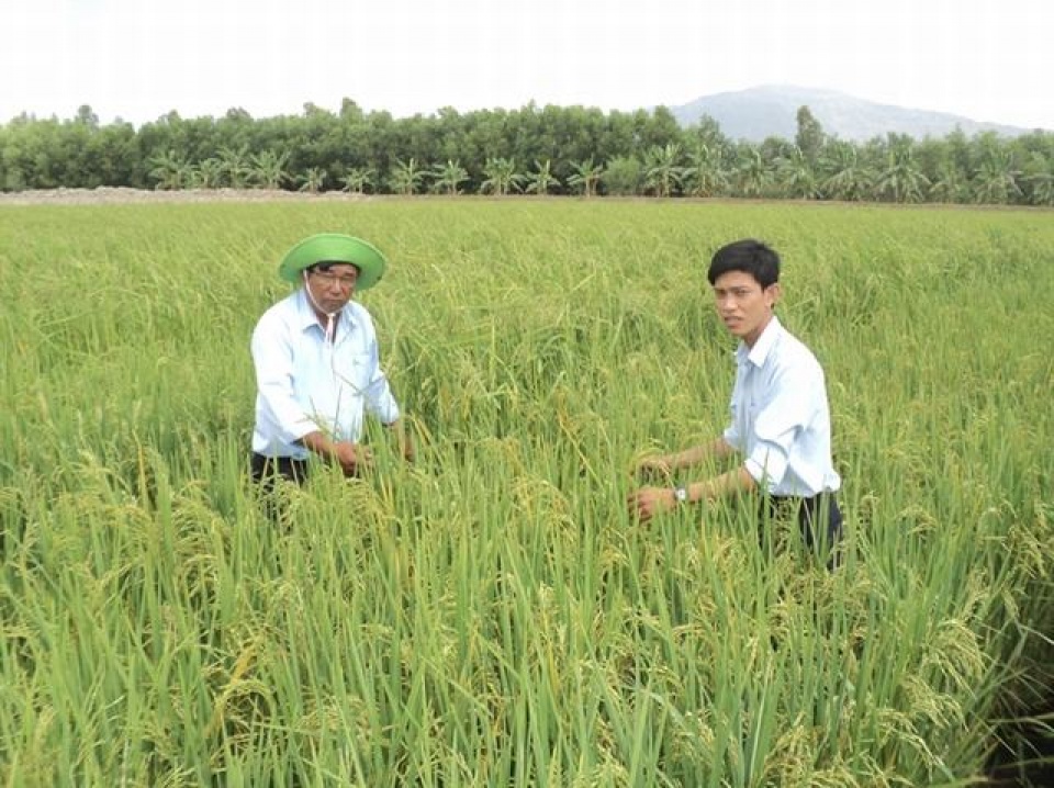 cong bo 10 su kien khoa hoc cong nghe noi bat nam 2016