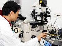 10 su kien cntt trong nuoc tieu bieu nam 2016