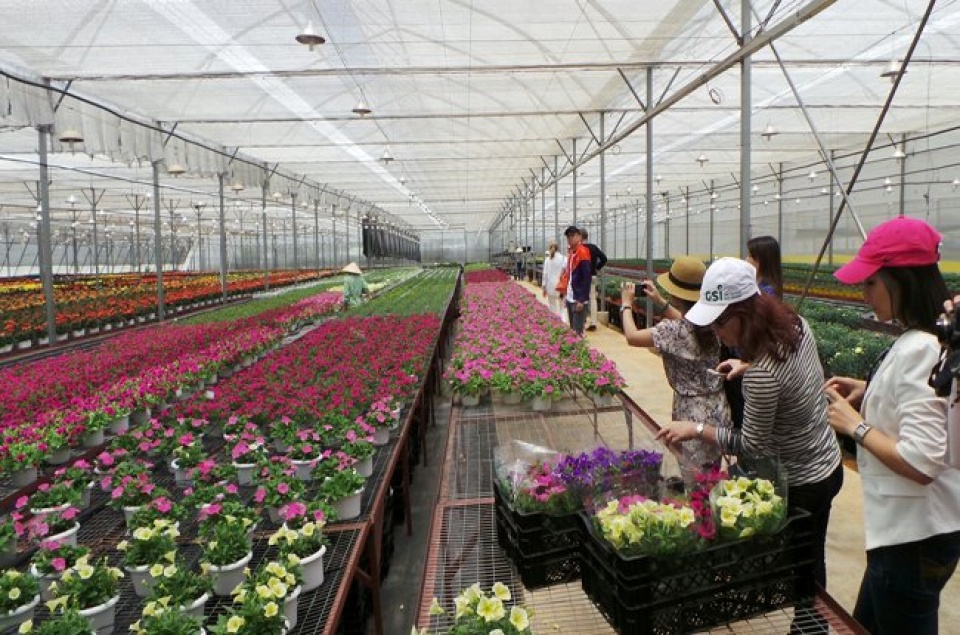 thuc day trong hoa gia tri cao cho nong dan viet nam