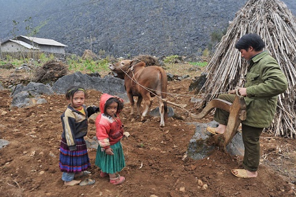 ty le ngheo cung cuc tai viet nam giam manh