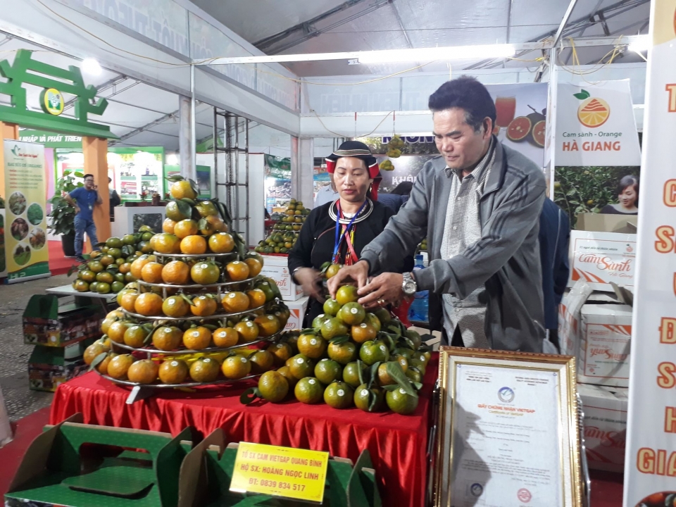 cam ha giang quyt bac kan do bo ha noi