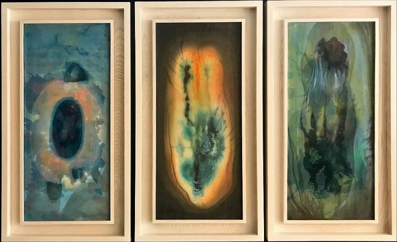 Khám phá vẻ đẹp của tự nhiên qua Triển lãm 'Vùng sống'