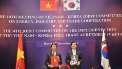 Việt Nam-Hàn Quốc hướng tới kim ngạch thương mại song phương 100 tỷ USD