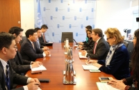 pho thu tuong pham binh minh tra loi bao chi ve doi ngoai viet nam nam 2019 va dinh huong 2020