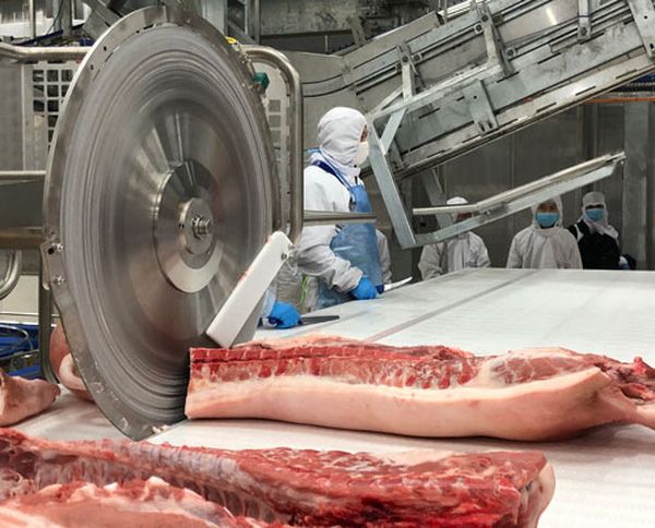 Giá heo hơi hôm nay 19/3: Giá heo hơi thấp không phải do lượng cung thừa, nhiều quốc gia cũng đang trên đà giảm mạnh