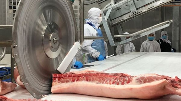 gia heo hoi hom nay 39 dong loat chung gia trung quoc huong toi viec kiem che nuoi beo thu cap