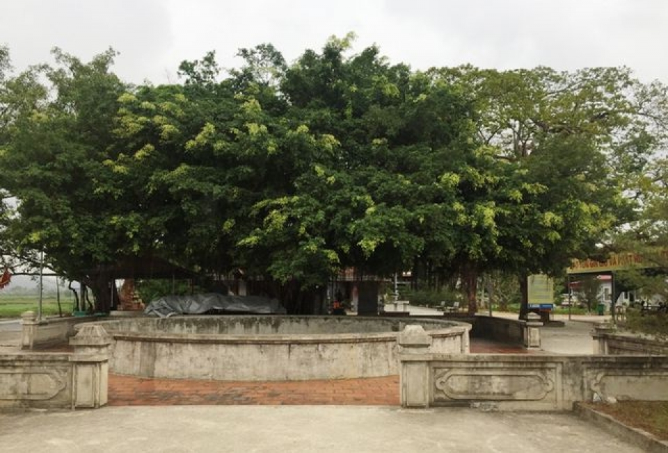 Sẽ phát 10.000 lá ấn tại lễ hội Đền Trần se phat 10000 la an tai le hoi den tran