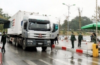 quy i2020 kim ngach xuat khau nhieu nong san chinh giam manh