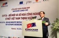 Thứ trưởng Bùi Thanh Sơn khẳng định kỳ vọng của Việt Nam về đẩy nhanh quá trình phê chuẩn EVFTA