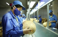 bo y te thong tin cu the ve ca nhiem covid 19 dau tien o ha noi va cac ca tiep xuc gan