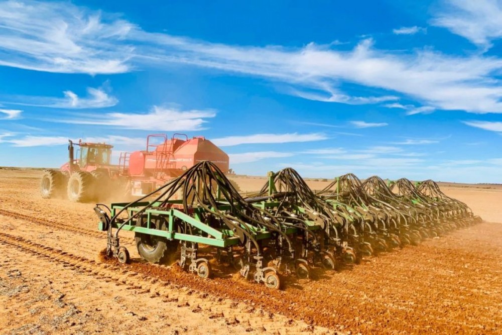 Nông dân tại bang Tây Australia đã giảm diện tích trồng lúa mạch sau khi biết tin Trung Quốc lên kế hoạch áp thuế chống bán phá giá. (Ảnh: ABC Rural)