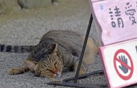 thu truong ngoai giao le hoai trung tiep pho chu nhiem van phong cong tac dai loan