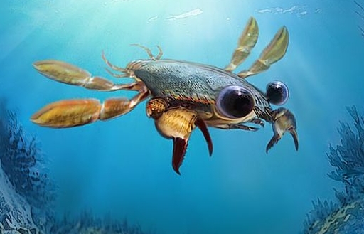 Phát hiện hoá thạch loài cua kì quái niên đại 95 triệu năm