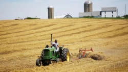 Dịch Covid-19: Tổng thống Mỹ công bố gói tài chính 19 tỷ USD 'giải cứu' ngành nông nghiệp