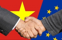 evfta vi loi ich to lon va can bang