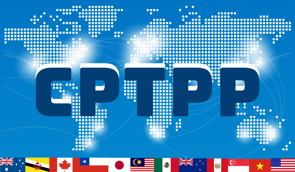CPTPP - Cơ hội mở rộng thị trường châu Mỹ cho hàng xuất khẩu Việt Nam
