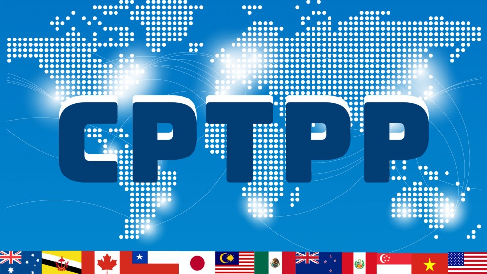 Nhờ 'cửa sáng' CPTPP, hàng Việt thêm cơ hội tiến sâu vào thị trường châu Mỹ
