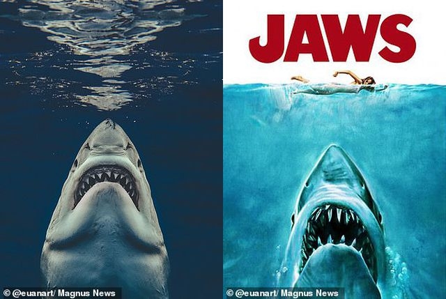 buc anh goi nho su kinh hoang cua ham ca map