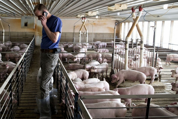 nong dan my dieu dung khi chien tranh thuong mai my trung tiep tuc leo thang