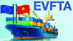 Chuyên gia Đức: Việt Nam cần tiếp tục khai thác tiềm năng to lớn của EVFTA