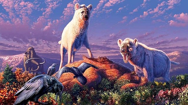 linh cau da xuat hien o bac cuc trong ky bang ha cuoi cung