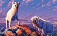 bi an ngoi mo huyen bi 4000 nam tuoi o anh