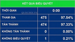 100% đại biểu Quốc hội tán thành thông qua Nghị quyết phê chuẩn EVFTA