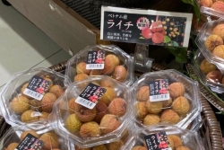 Vải thiều Việt Nam lên kệ siêu thị Nhật Bản, 500 ngàn đồng/kg vẫn cháy hàng