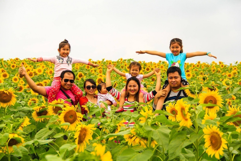 2945 ly hyi hoa hyyng dyyng