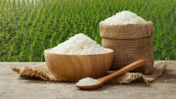 Xuất khẩu ngày 5-7/6: Gạo được giá; vải thiều Thanh Hà lần đầu sang Thái Lan; Mỹ, Nhật Bản 'đổ xô' mua gỗ Việt