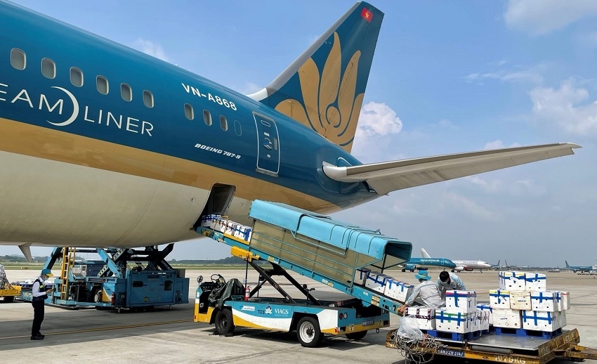 Ảnh 2 - Đây là lần đầu tiên Vietnam Airlines bố trí riêng một siêu máy bay Boeing 787-9 chỉ để chở vải thiều tới tay người tiêu dùng (1).jpg