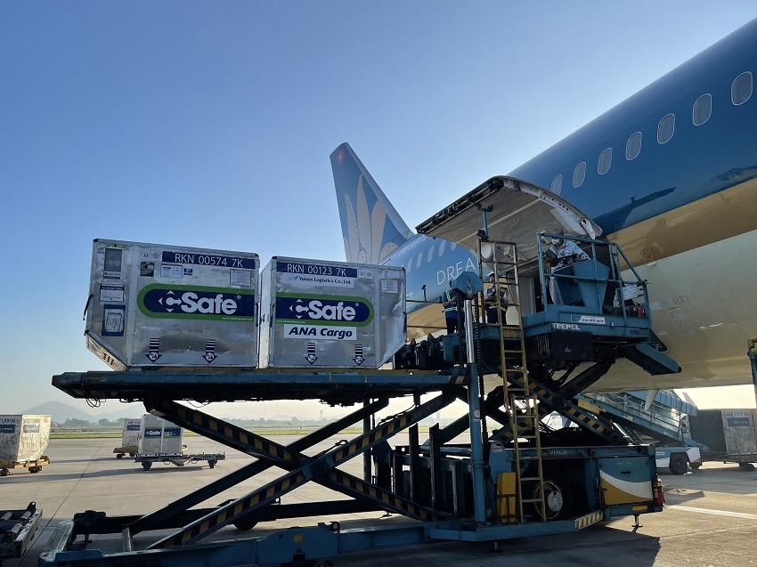 Gần 1000 liều Vắc xin được Vietnam Airline vận chuyển hoàn toàn miễn phí trên chuyến chuyến bay mang số hiệu VN207 cất cánh lúc 7g sáng ngày 17/6 (Ảnh: VNA)