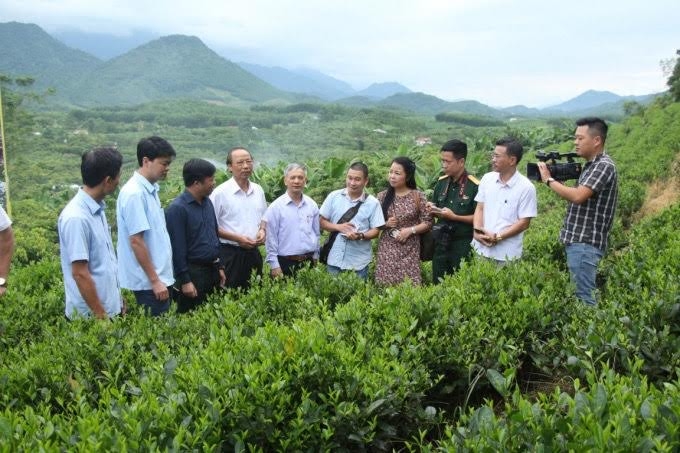 Một chuyến đi thực tế do Hội Nhà báo tỉnh Thái Nguyên tổ chức thăm vùng chuyên canh cây chè và cây ăn quả tại Thị xã Phổ Yên, tỉnh Thái Nguyên