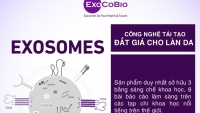 Exosome - Công nghệ tái sinh mới mở ra kỷ nguyên làm đẹp mới