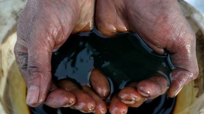 vi ly do nay hang trieu thung dau nga tiep tuc do vao anh