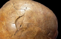 sinh vat bi an trong hinh ve khong lo co dai moi duoc tim thay o peru