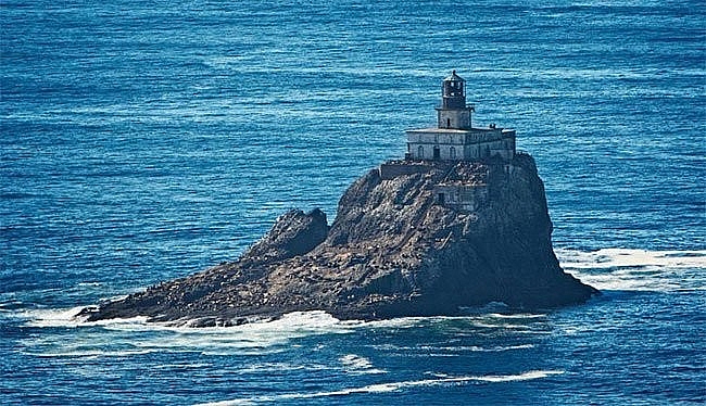 ky la nhung hon dao re nhu cho nhung van e chong cho