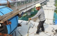 trung quoc vat lon voi con khat thit lon