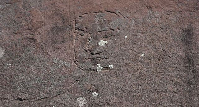 cac nha khoa hoc tim thay hinh duc phat khac tren da o siberia nga