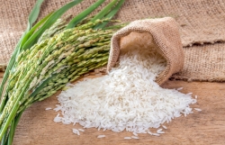 EVFTA: EU công bố hạn ngạch nhập khẩu đối với hàng nông sản và gạo của Việt Nam