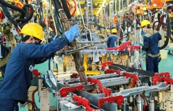 Chuyên gia Ấn Độ: Việt Nam có thể là hình mẫu hoàn hảo về phục hồi kinh tế ở phía Nam bán cầu