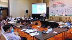 Xây dựng hệ thống lương thực, thực phẩm Việt Nam minh bạch, trách nhiệm, bền vững