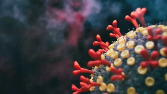 chuyen gia bien the sarscov2 moi o nga la cai ket cua dai dich