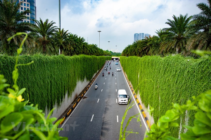 a, nhiều người dân di chuyển qua khu vực hầm chui Trung Hòa, đoạn Trần Duy Hưng - Đại lộ Thăng Long (Hà Nội) bất ngờ trước vẻ đẹp những dải cây dây leo xanh mướt hai bên đường. (Ảnh: Hoài Nam/Vietnam+)