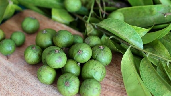 xuat khau ngay 31728 sau dong lanh duoc cap visa sang australia my la thi truong xuat khau lon nhat cua viet nam